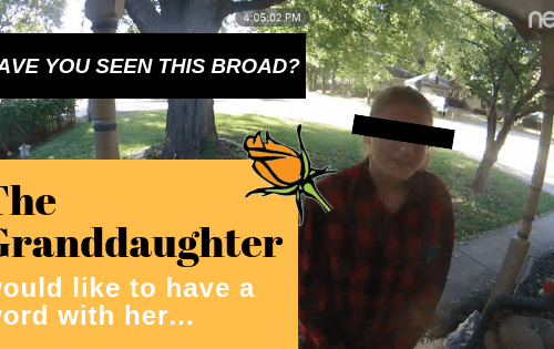 Graphic: reads "Have you seen this broad? The Granddaughter would like to have a word with her" with a screenshot of a Nest cam video in the background